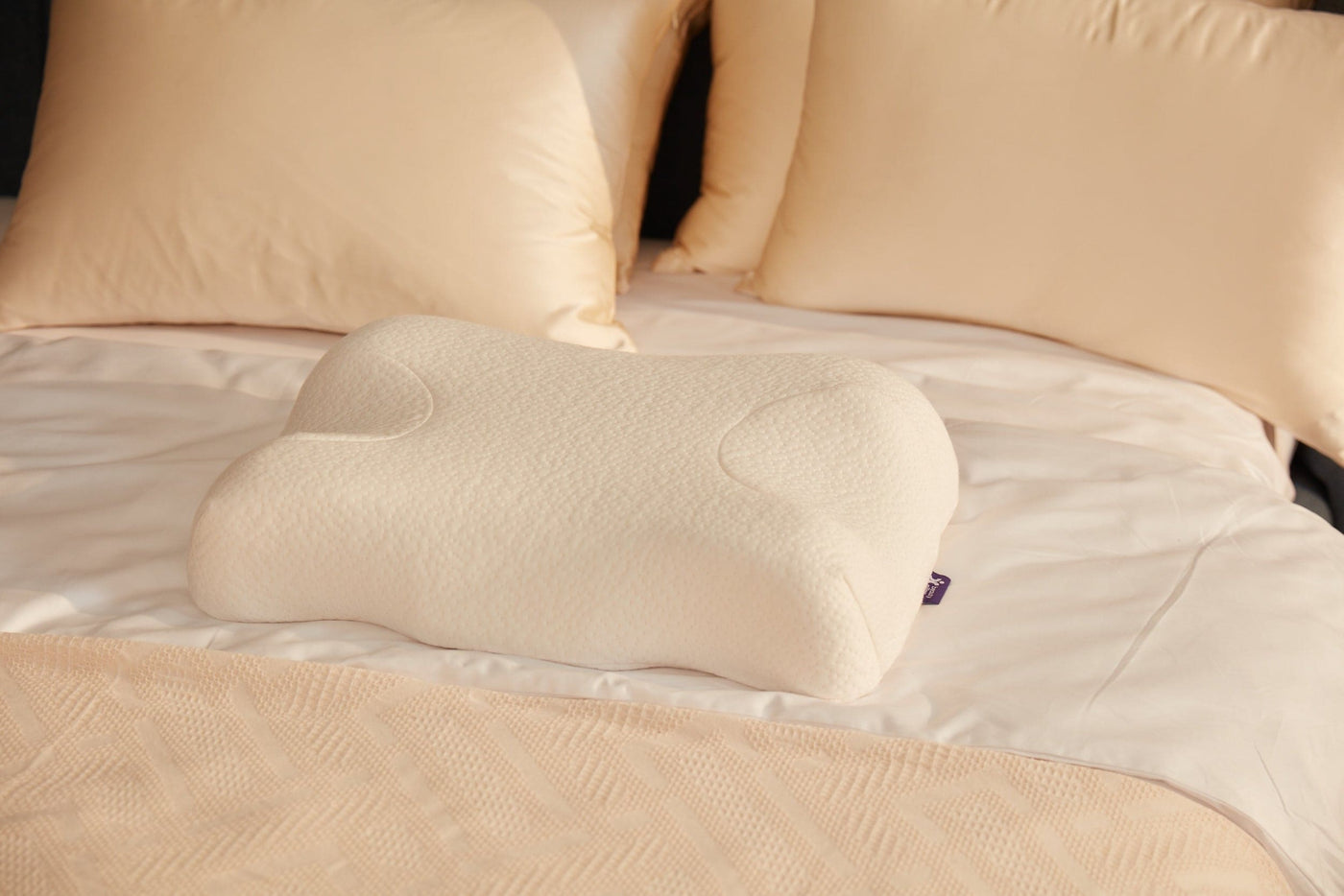 Beauty Pillow Skinplus + Chest Pillow Beige