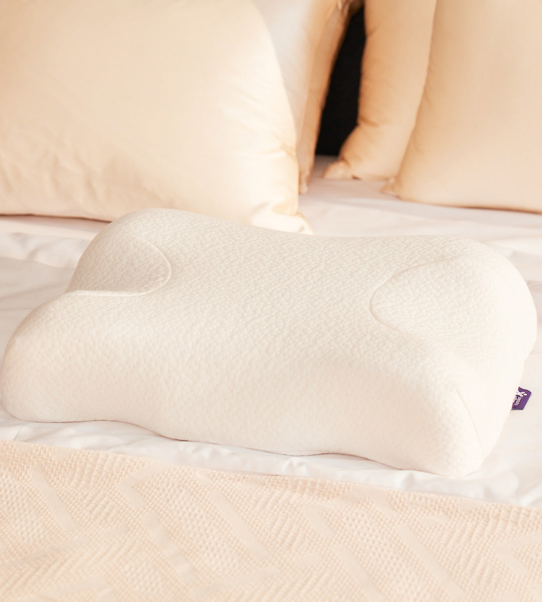 Beauty Pillow - 2 Pillows Set (Skin+ Pillowcase on)