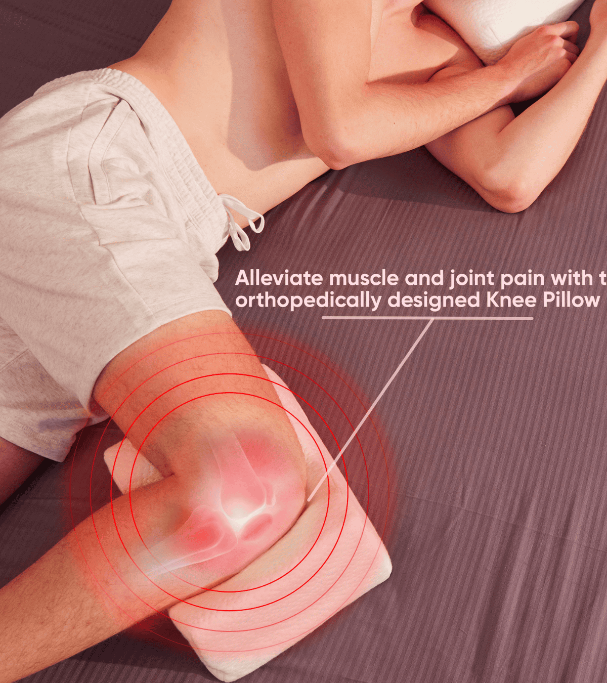 Knee sales pillow spotlight