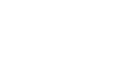 Beauty Pillow 