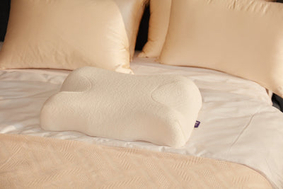 Beauty Pillow - Juego de 2 almohadas (Piel+ Funda de almohada puesta)